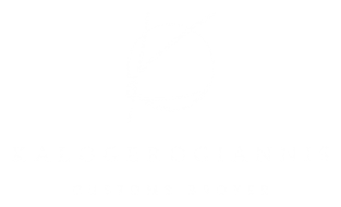 gallery/white logo - no background